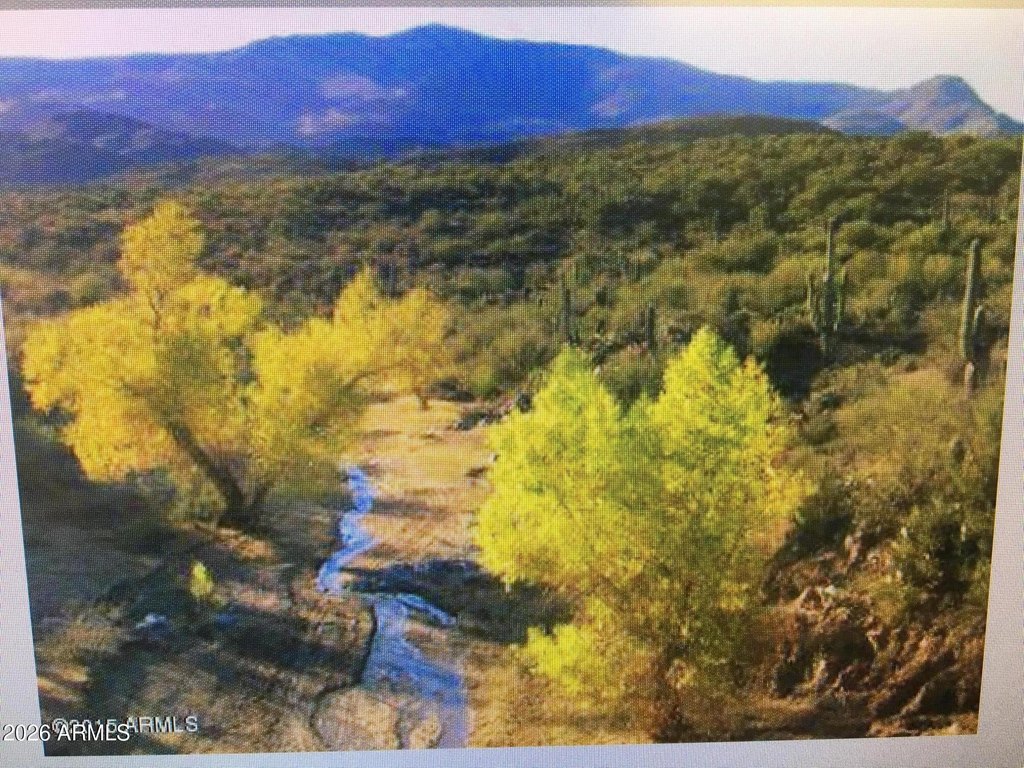Picture 27