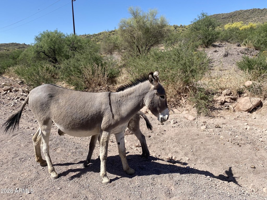 Picture 23