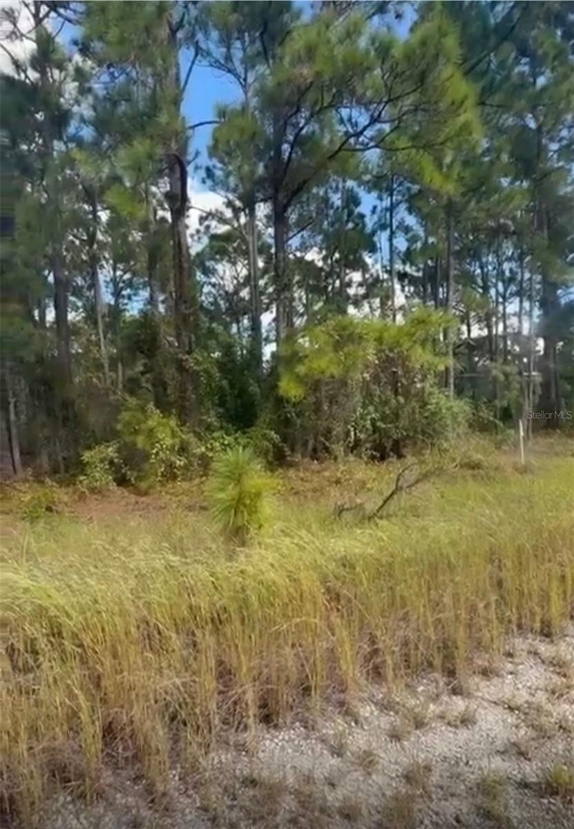 Lake Placid Land Opportunity