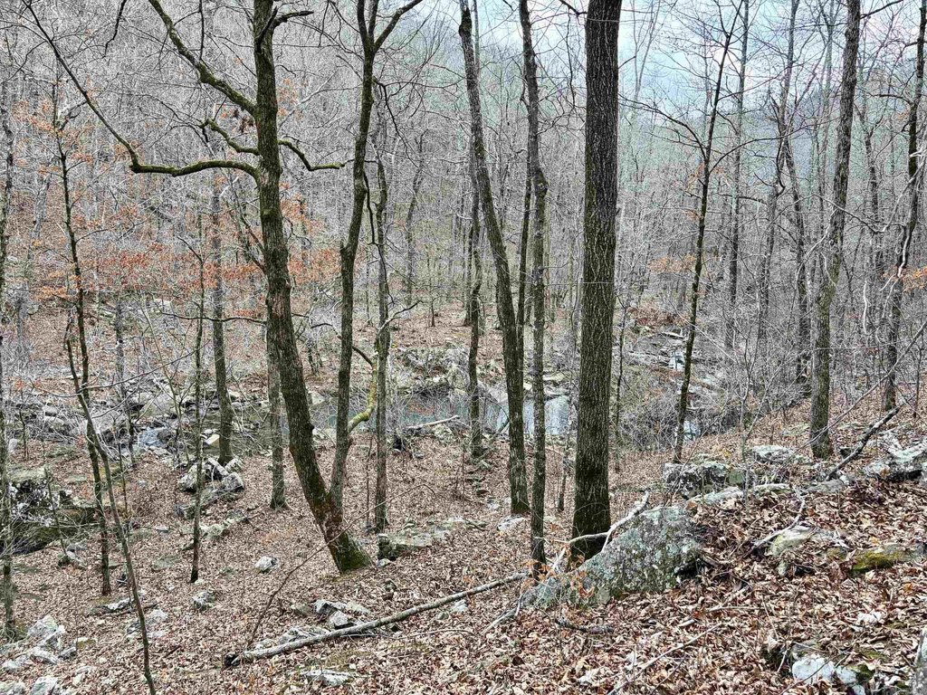 Picture 15