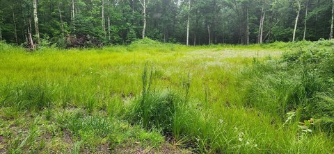 Couderay, WI 5.12 Acre Land