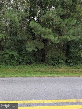 Land, DAGSBORO, DE