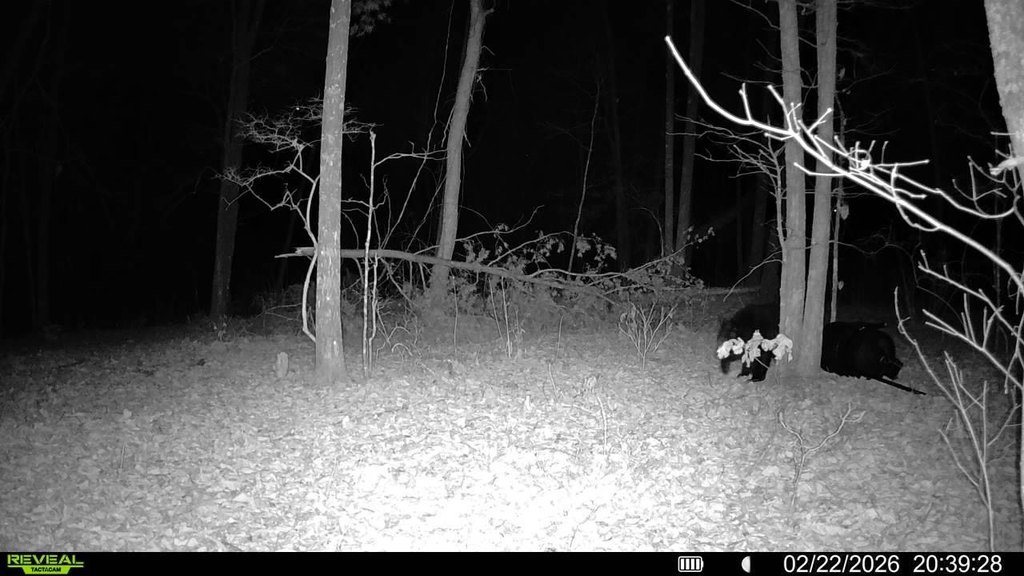 Picture 5
