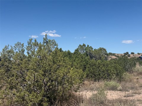 LAND - Cerrillos, NM