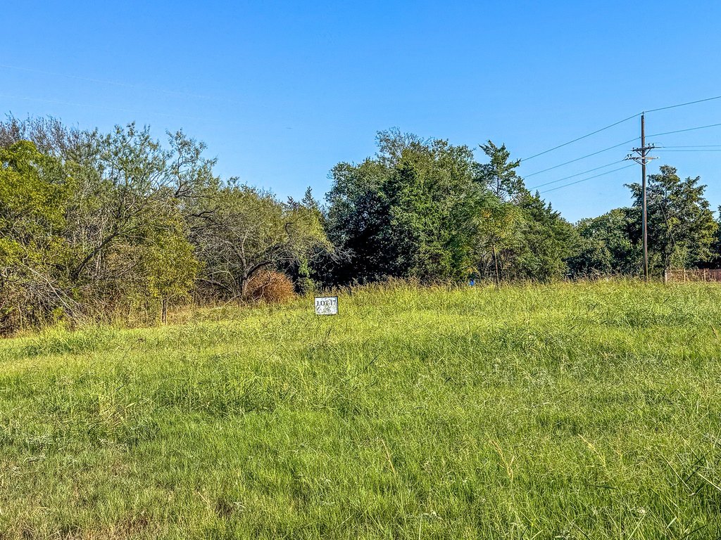 Picture 20