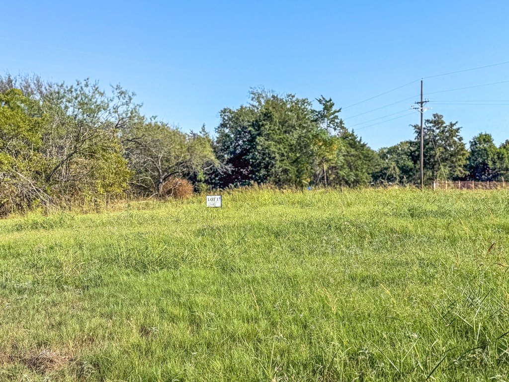 Picture 21