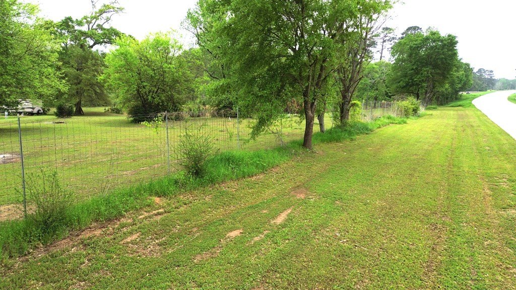 Picture 19