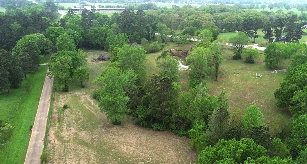Picture 9