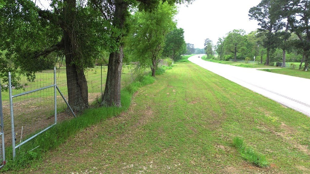 Picture 21