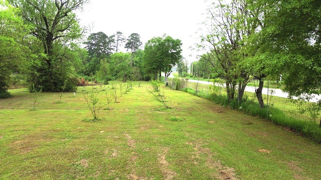 Picture 18