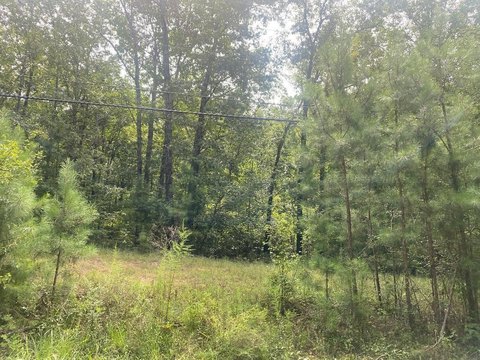 Residential Land Near Jasper