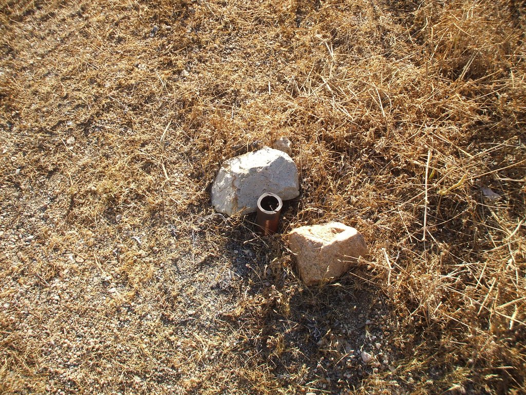 Picture 18