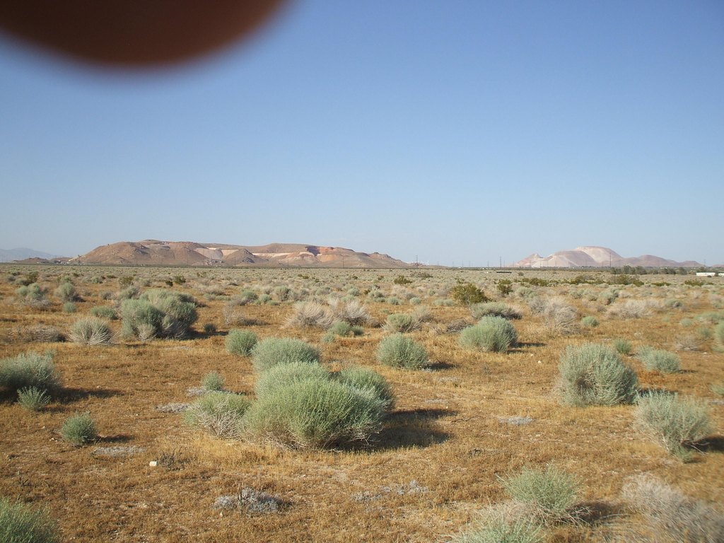 Picture 14