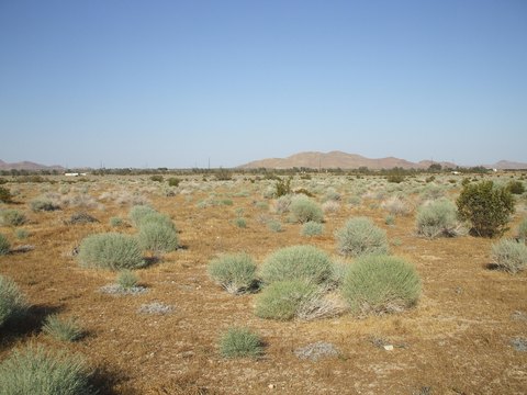 Land, Rosamond, CA