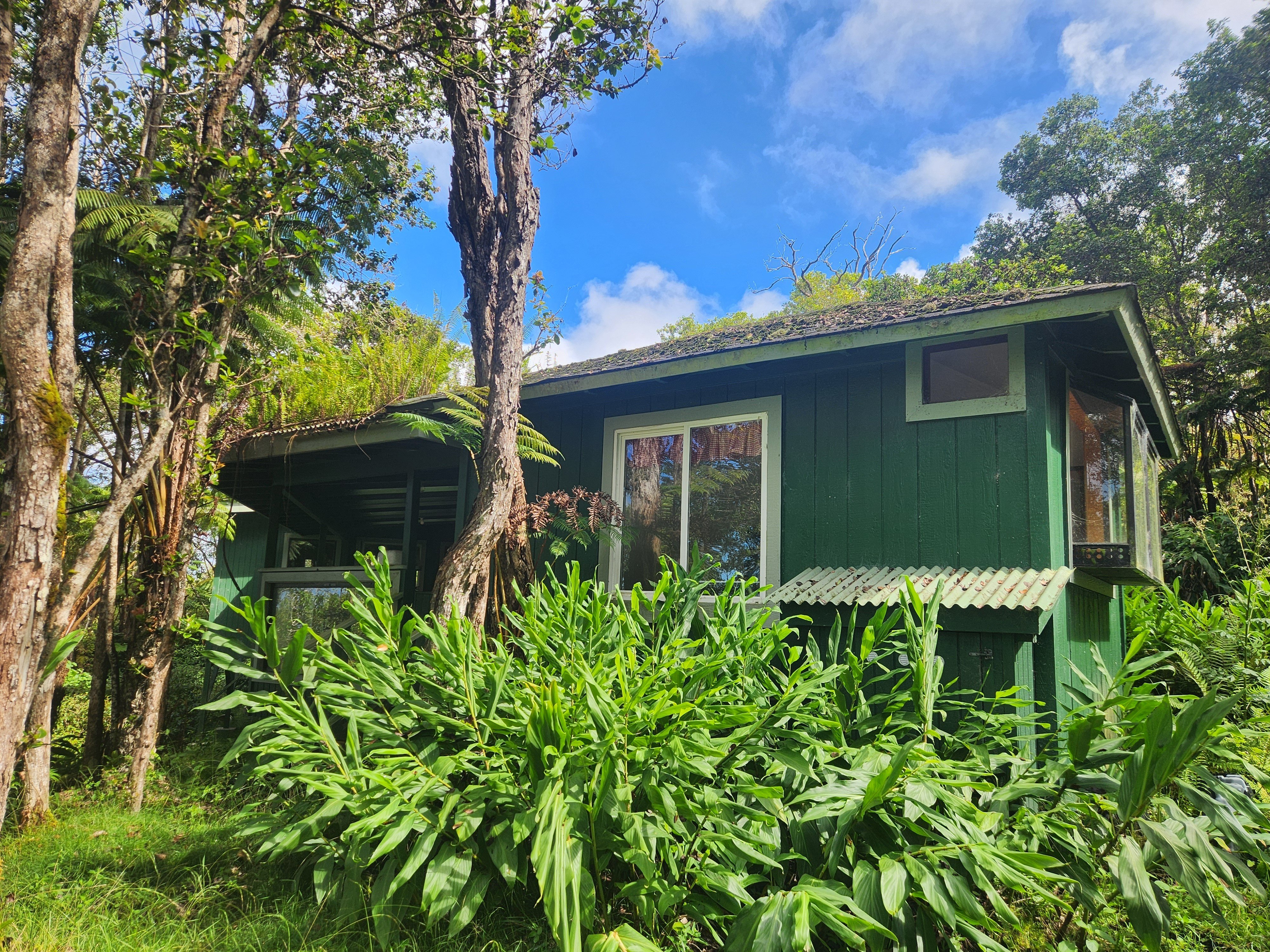 220 Acres in Kona Coffee Belt