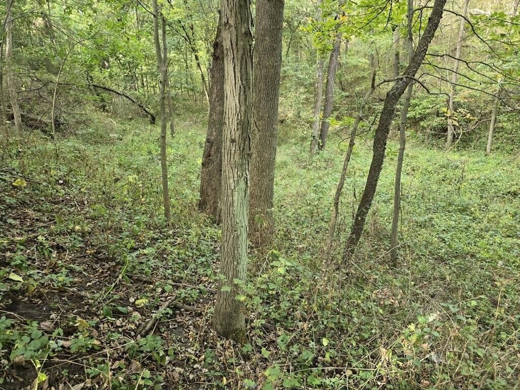 Picture 3