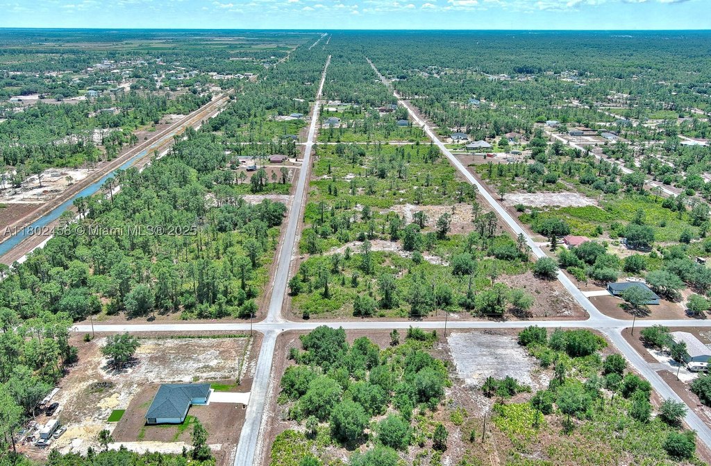 Picture 20