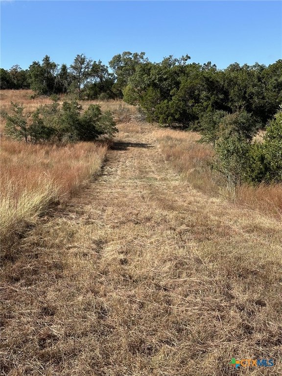 Picture 4