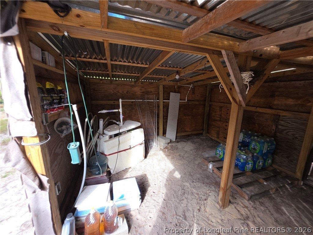 Picture 13