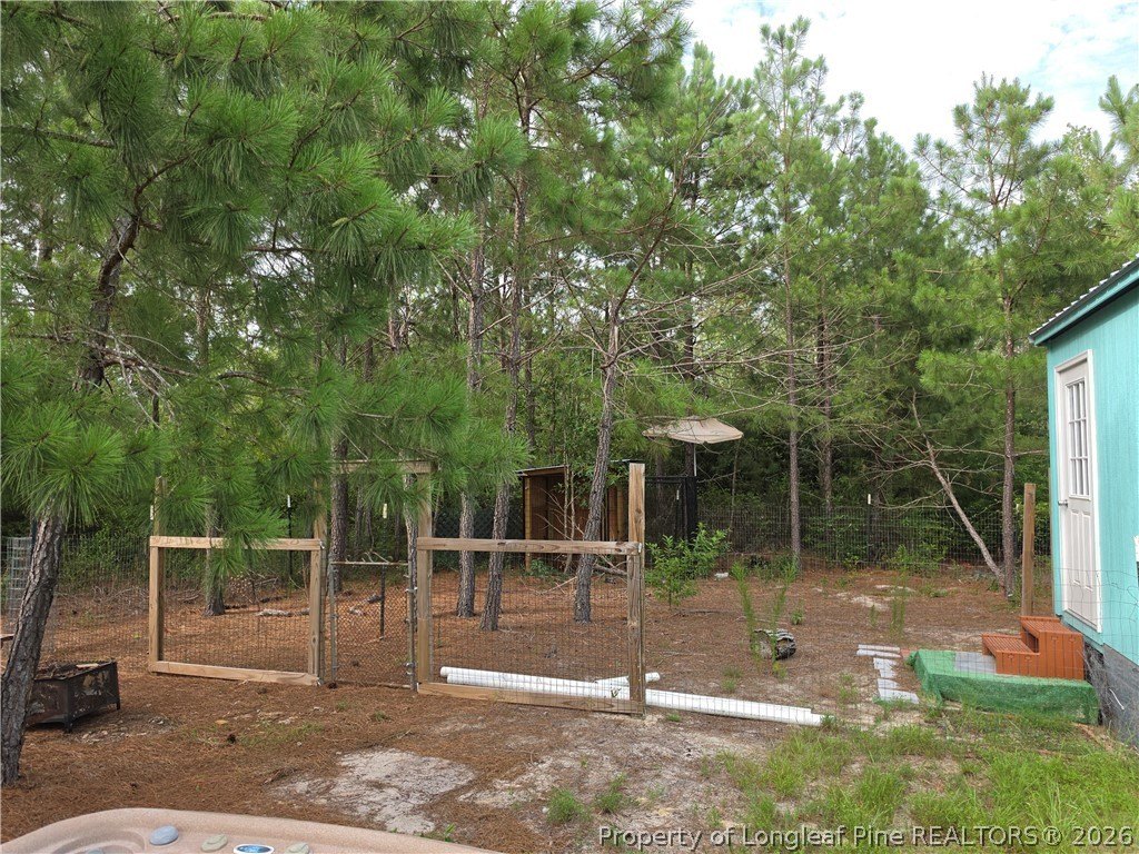 Picture 11