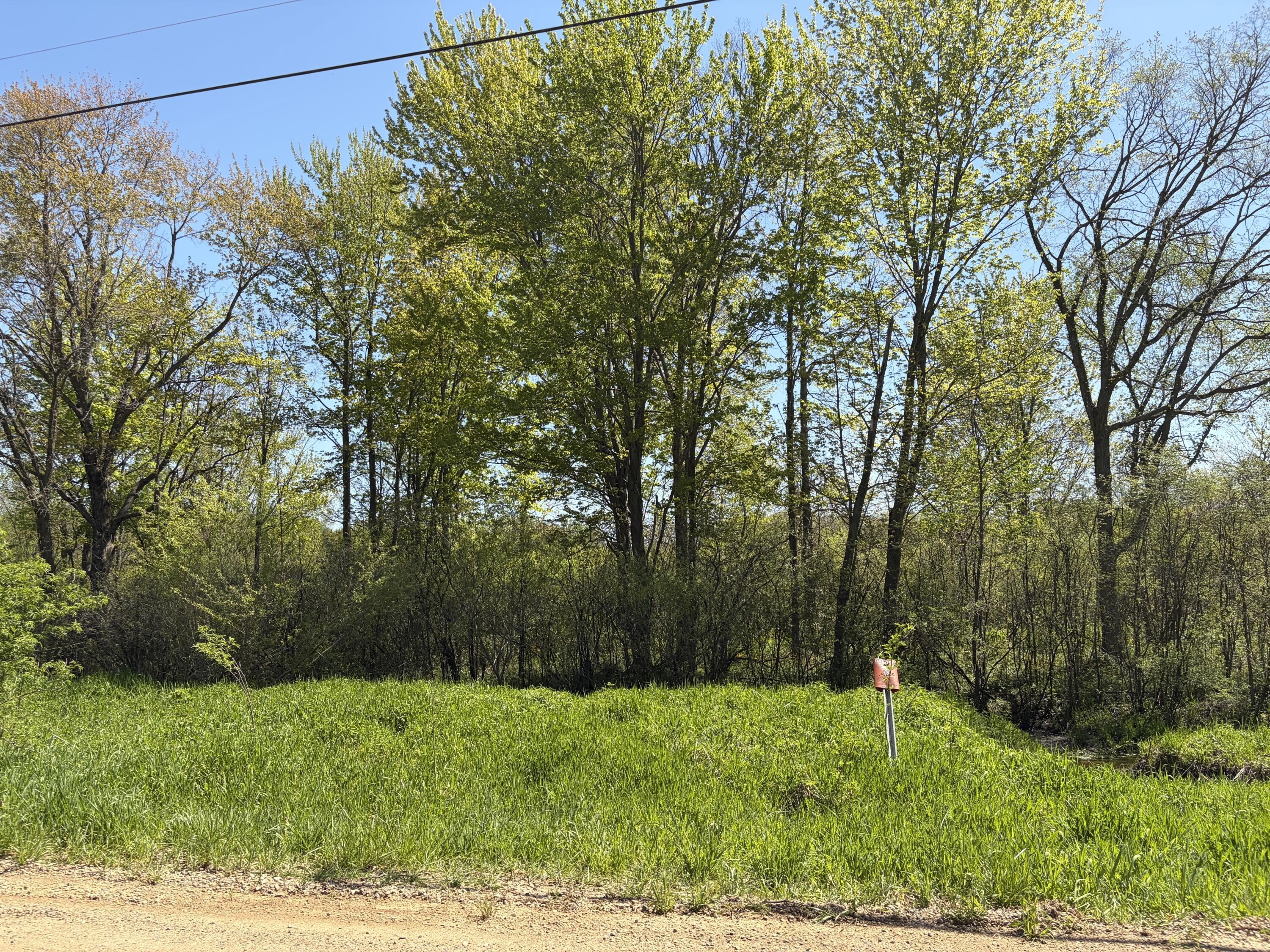 Wooded Parcel in Paw Paw