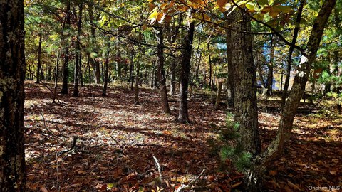 Land, Wurtsboro, NY
