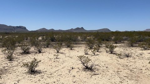 Terlingua Ranch Land Opportunity