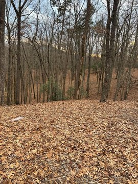 Residential Lot in Sanctuary Subdivision