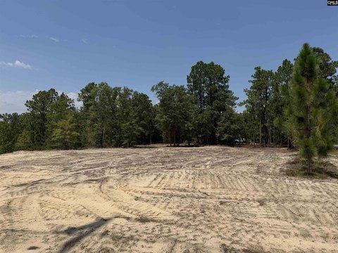 LOTS AND ACREAGE, Hartsville, SC