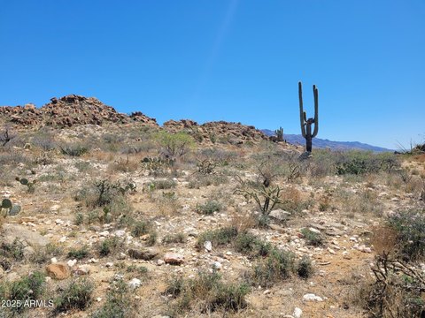 Land Bordering Arizona State Trust