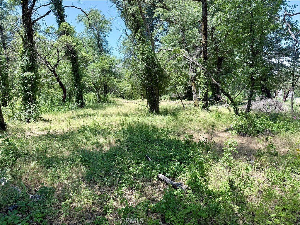Picture 3
