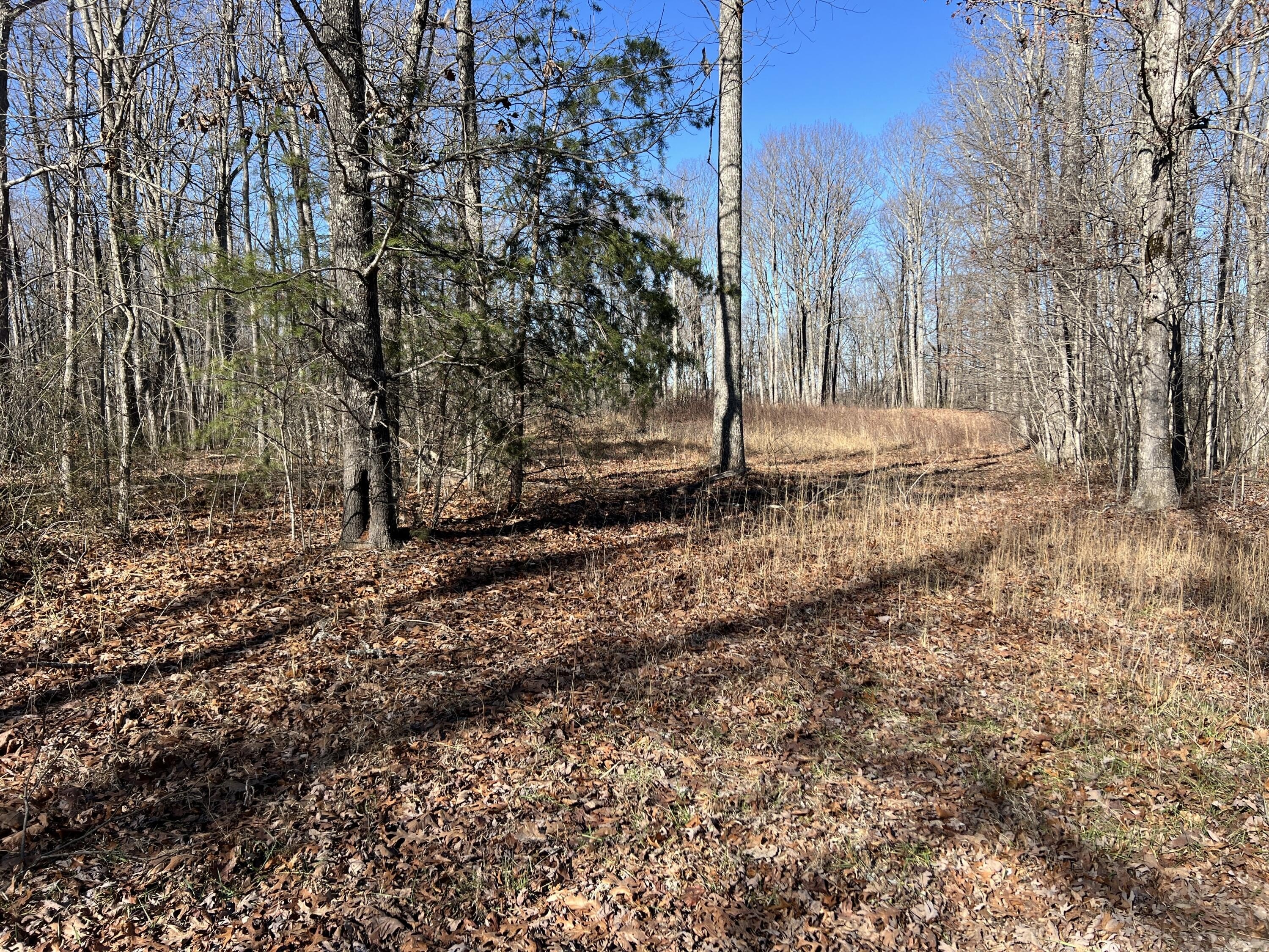 Pikeville Land with Natural Features