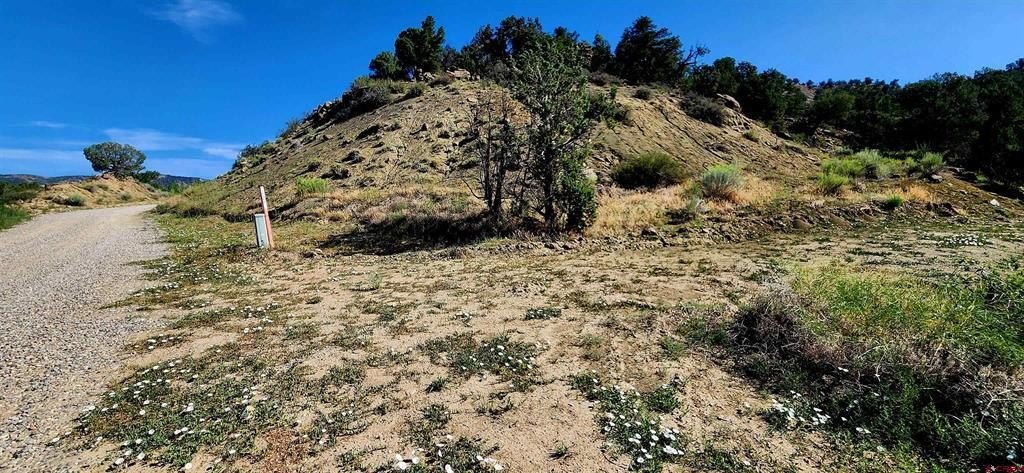 Land For Sale, Durango, CO