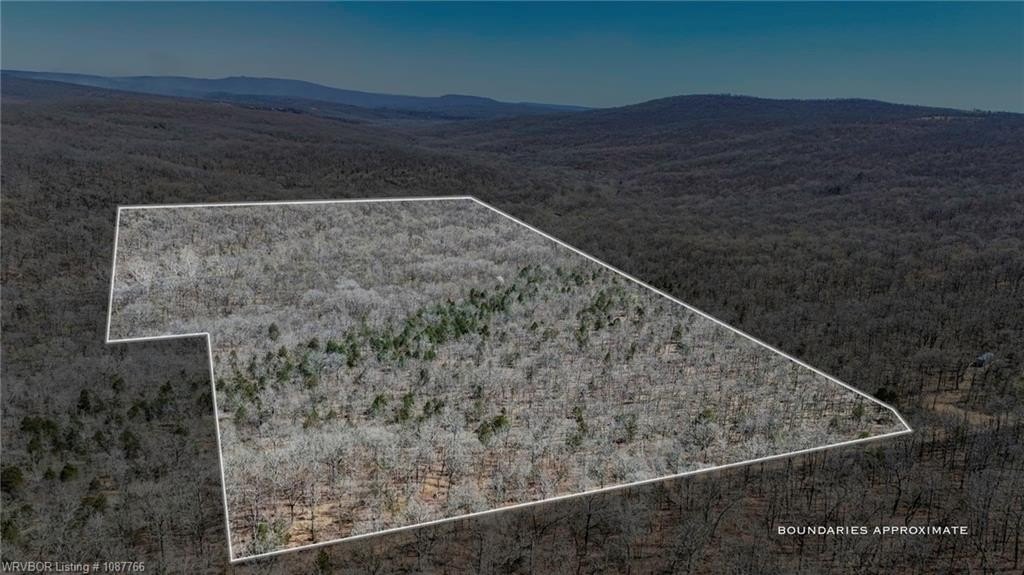 Secluded Hunting Land in Sallisaw