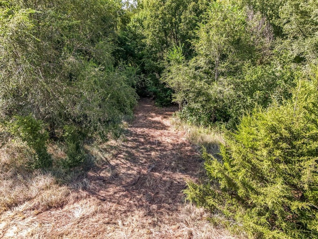 Picture 14