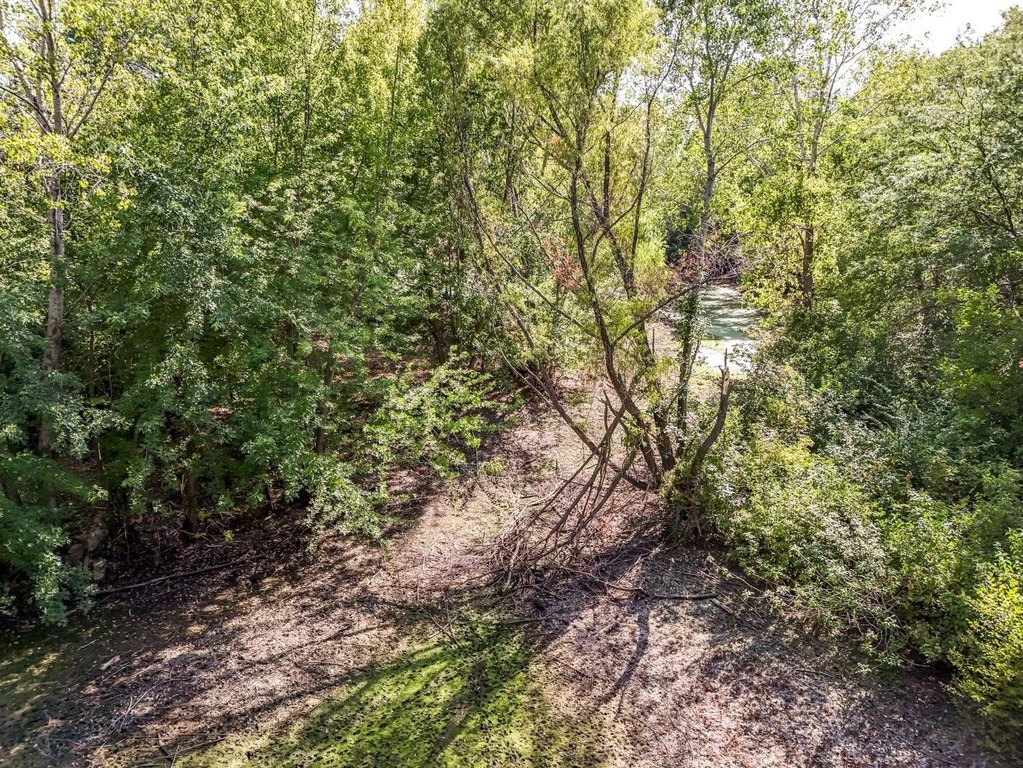 Picture 25