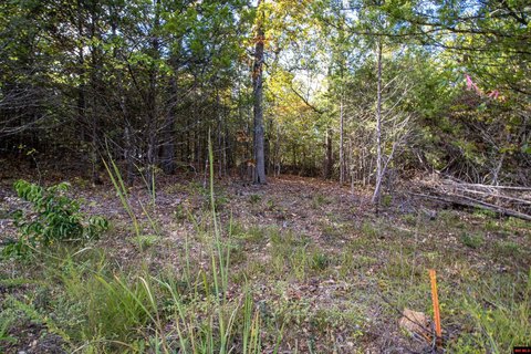 LAND, Mountain Home, AR