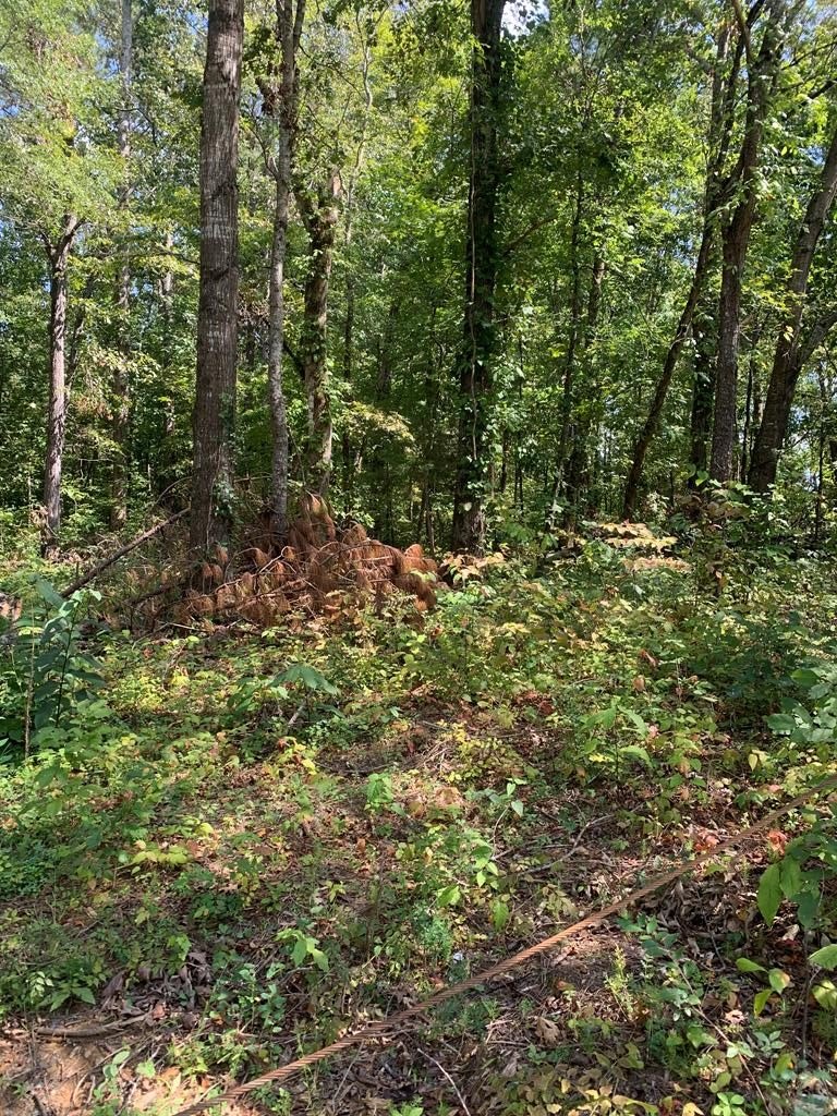 Land with Road Frontage