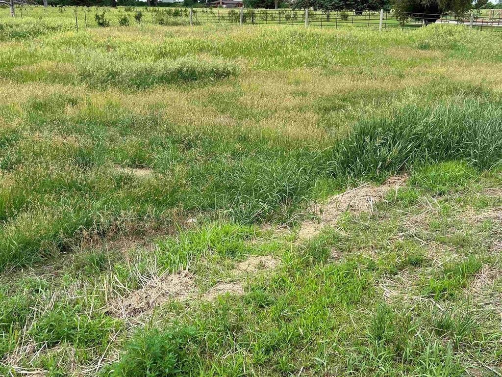 Picture 22