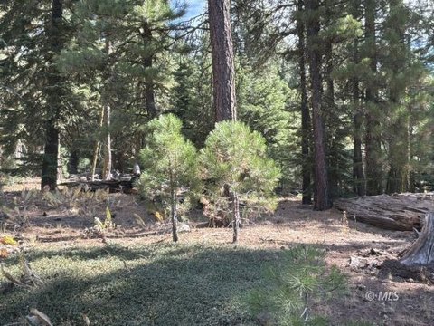 Vacant Land, Alturas, CA