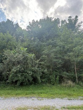 LAND - Dublin, VA
