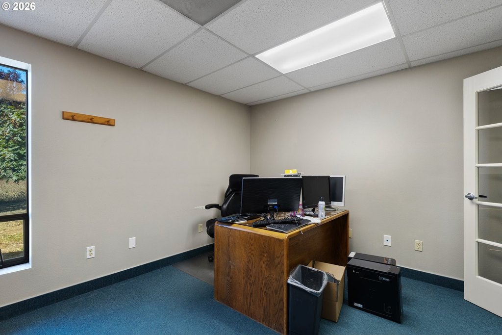 Picture 31