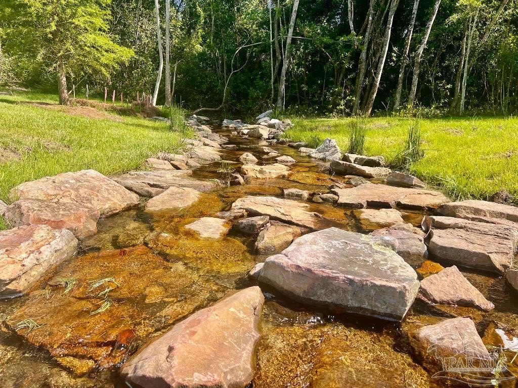 Picture 19