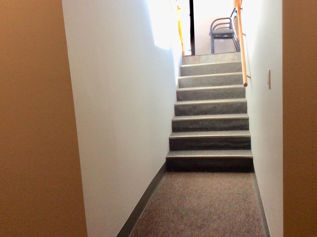 Picture 5