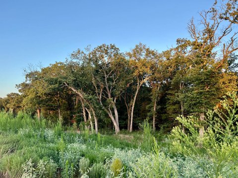Colbert, OK Lakefront Land