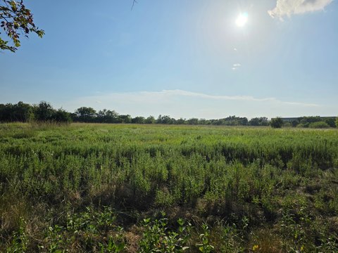 Secluded Pasture Tract