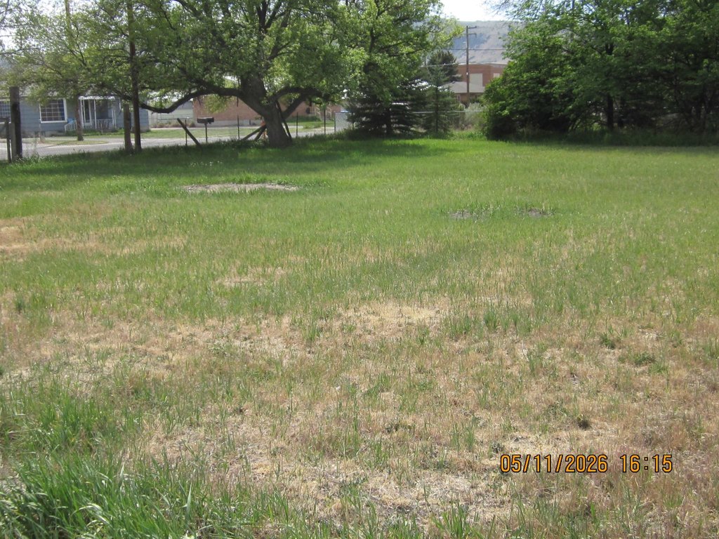 Picture 8