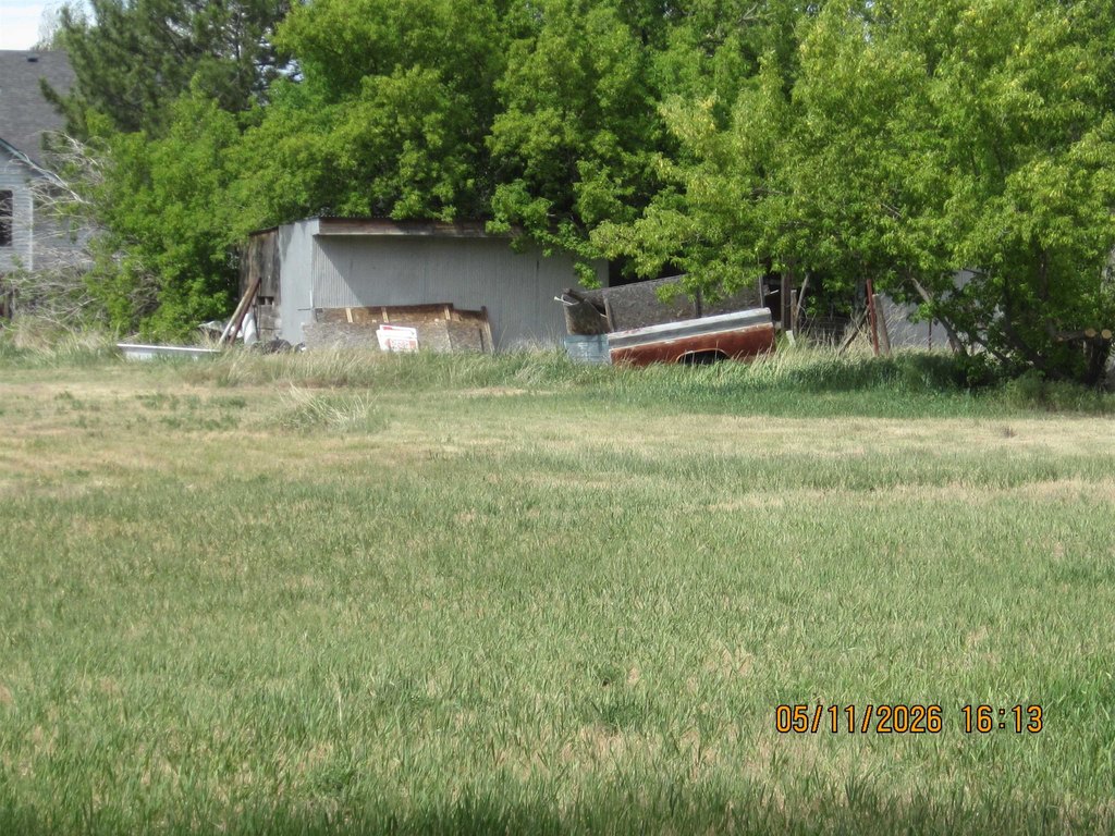 Picture 3