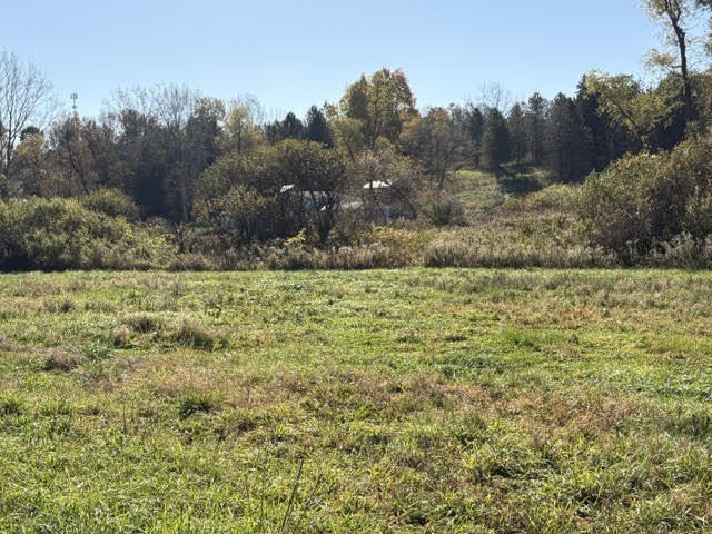 Picture 13