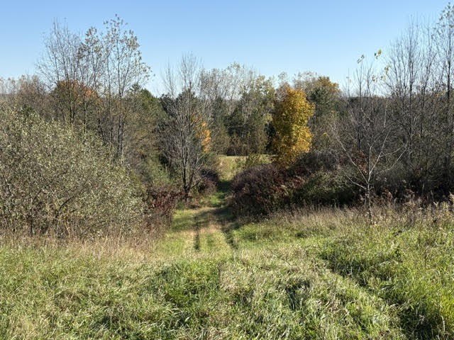 Picture 14